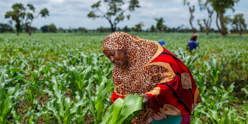 Reporting on Social Enterprises in Africa